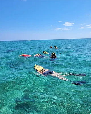 Snorkeling from Cancun With transportation