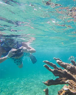 Snorkeling in Puerto Morelos with transportation from Cancun
